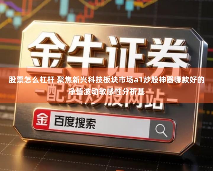 股票怎么杠杆 聚焦新兴科技板块市场a1炒股神器哪款好的净值波动敏感性分析基