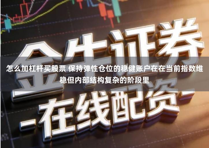 怎么加杠杆买股票 保持弹性仓位的稳健账户在在当前指数维稳但内部结构复杂的阶段里